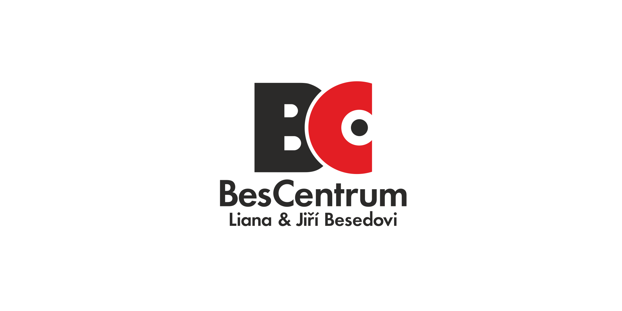 logo partnera